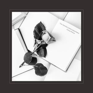 女性稳私㊙️网站
